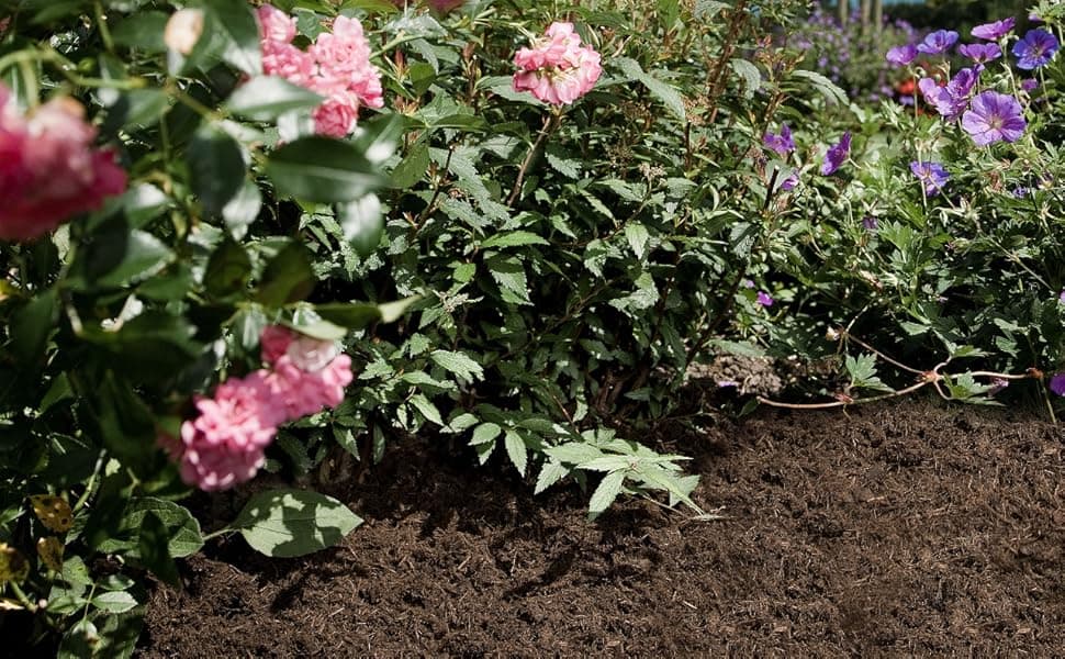 Gartenbau: Moderne Trends und traditionelle Methoden im Gartenbau vereinen